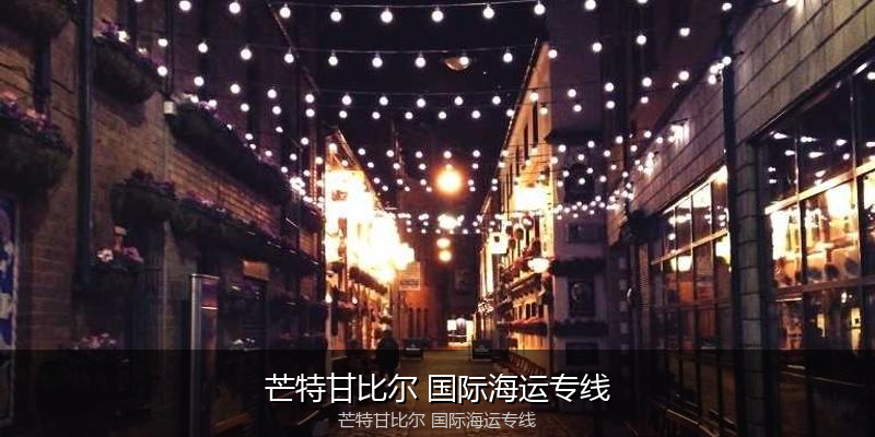 2024年中国到澳大利亚海运价格走势分析