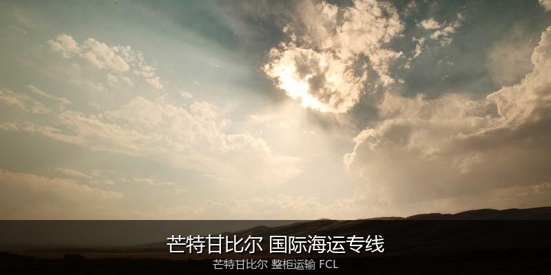 海运拼箱与整柜运输优劣对比