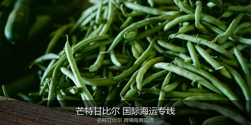 澳大利亚主要港口海运服务对比